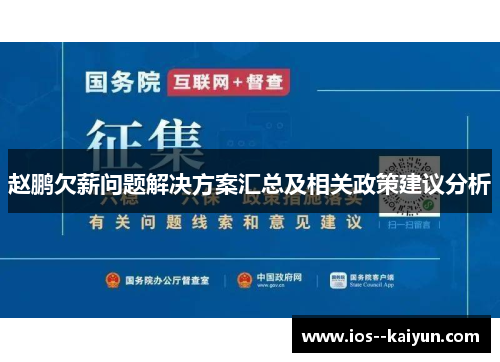 赵鹏欠薪问题解决方案汇总及相关政策建议分析 赵鹏欠薪问题解决方案汇总及相关政策建议分析