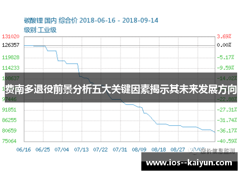 费南多退役前景分析五大关键因素揭示其未来发展方向 费南多退役前景分析五大关键因素揭示其未来发展方向