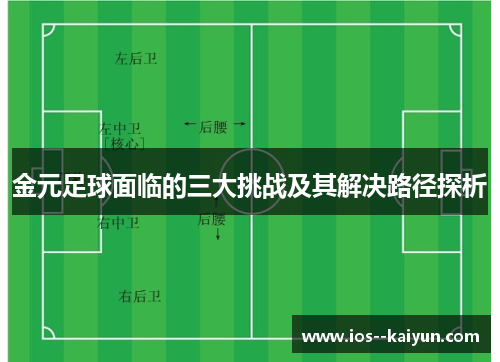 金元足球面临的三大挑战及其解决路径探析
